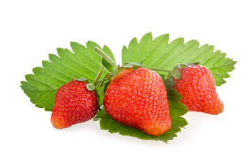 Red strawberry fruits with green leaves