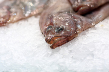 Fish on ice at market