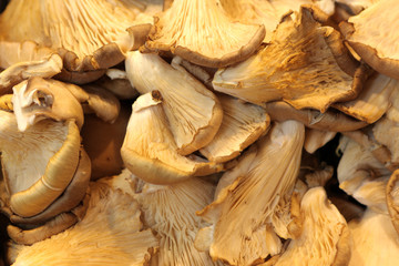 Mushroom for sale at market
