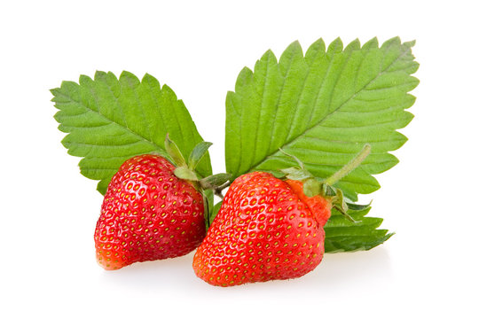 Red strawberry fruits with green leaves