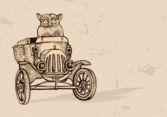 Tarsier driving an old car