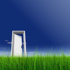 High resolution 3D white door opened in grass to the sky