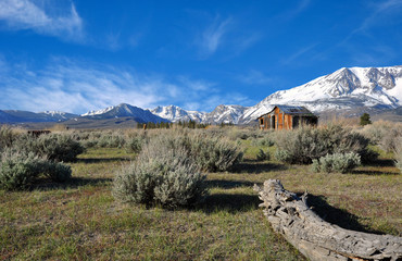 Abandoned Cabin in the Sierras - 23300319