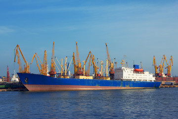 A cargo ship docked in the port