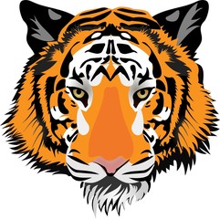 Tiger head. Vector