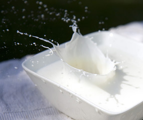 Milk Splash