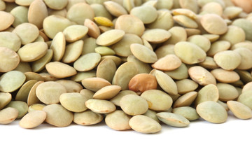 Lentil