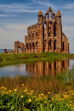 View of Whitby Abbey beyond the pond