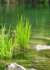 Natur und Wellness am See