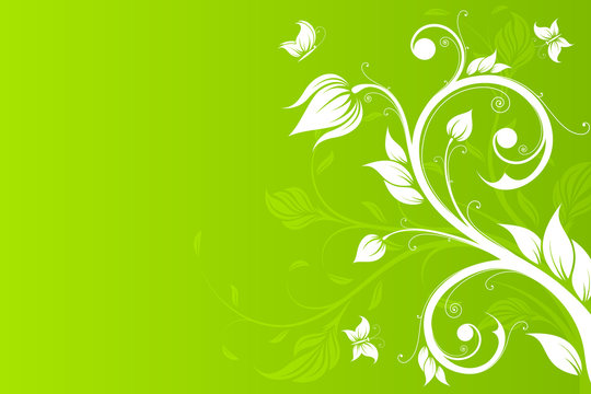 Vector Background with flowers and butterfly