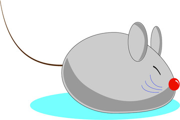 rat