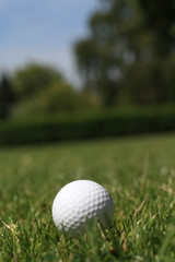 golfball in grass