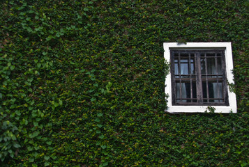 Beautiful vintage window