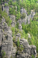 Elbsandsteingebirge / Sächsische Schweiz