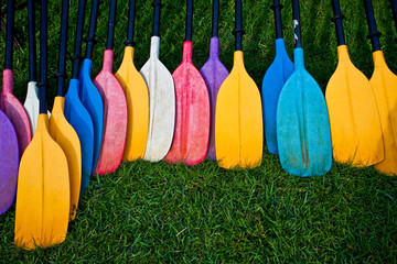 A colorful set of paddles