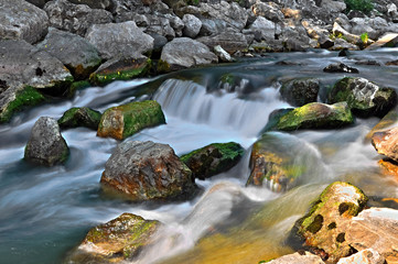 Naklejka premium torrente - Veneto - Italy - Padova -