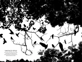 Papier Peint photo Lavable Oiseaux sur arbre arbre