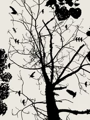 Wall murals Birds on tree tree