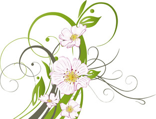Wildrose, Rosen, florale Ranke, Blumen, filigran