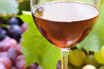 Wine glass with bottle of wine.