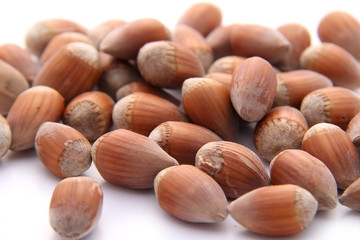 Noisettes