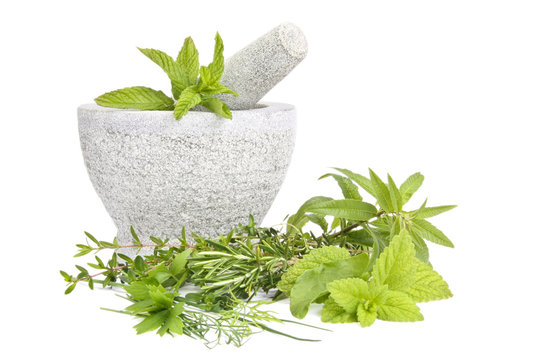 Mortar with mint and other herbs
