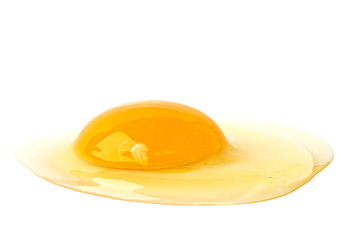 Raw Egg