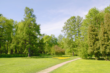 Spring park with walkway