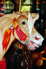 Fototapeta na wymiar Carousel horse
