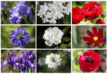 mon jardin à la française