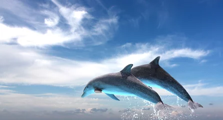 Photo sur Plexiglas Dauphin Couple de dauphins sautant contre le ciel bleu