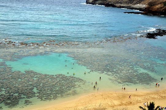 Hanauma Bay, Oahu, Hawaii