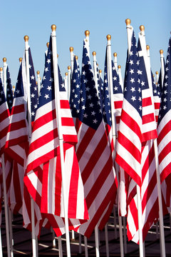 American flags during fourth of july