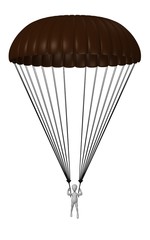 Obraz premium parachute