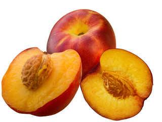 Fruit  hybrid  peach  apricot