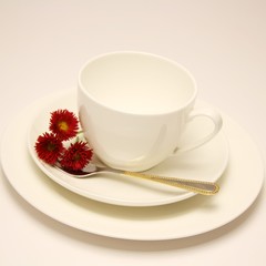 Kaffeegedeck ( leer )