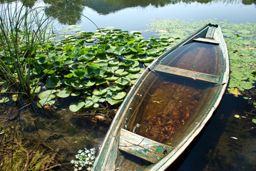 old boat by the lake
