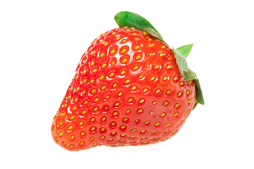 berry of the strawberries