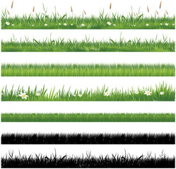 Obraz premium Kolekcja zielonej trawy