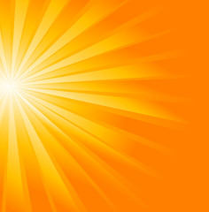 Obraz premium Sunburst vector background