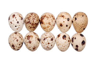 Obraz premium Photo of the quail egg