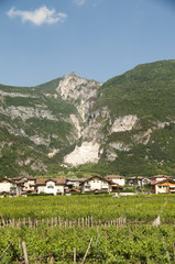 Fototapeta na wymiar Rovereto - Val d'Adige