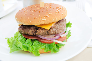 Cheese burger - American cheese burger with fresh salad