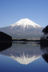 Mt.Fuji and Lake Tanuki