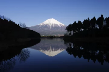 Foto op Canvas Mt.Fuji and Lake Tanuki © toraya