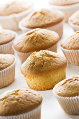 Muffins