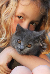 chaton chartreux dans les bras d'un enfant