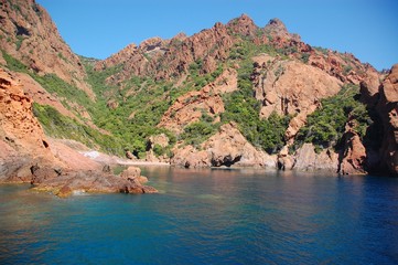 scandola