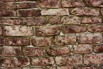 brick wall