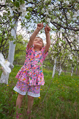 Little girl in flowered garden